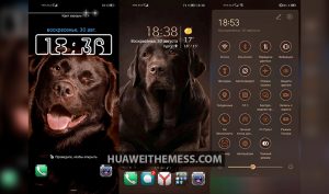 Brown Labrador Theme for EMUI 10/9